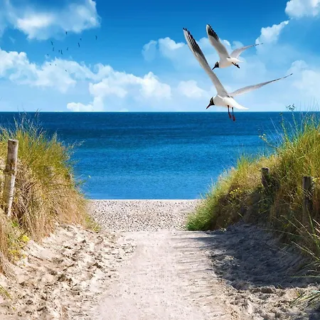 Kuestenkomfort-urlaub Fuer 6 Personen Ferienhaus *